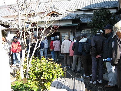 平成23年6月3日 シチダンカが咲いています。
