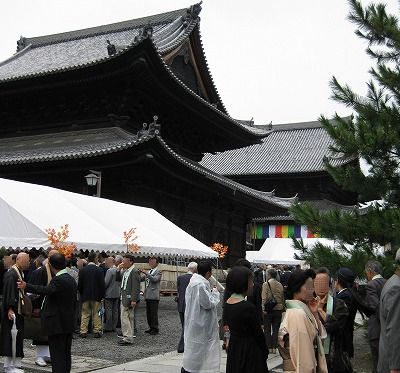 平成23年6月3日 シチダンカが咲いています。